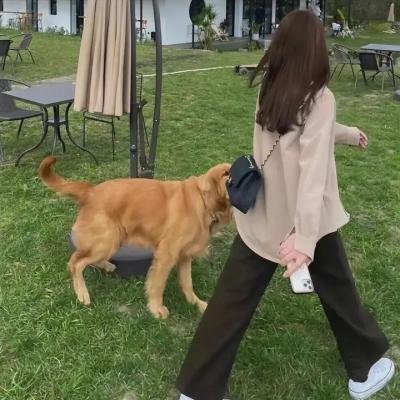 苏南堡传奇